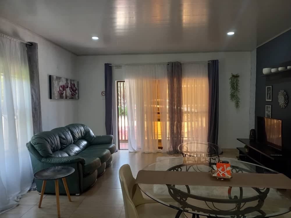 Professional Housekeeping